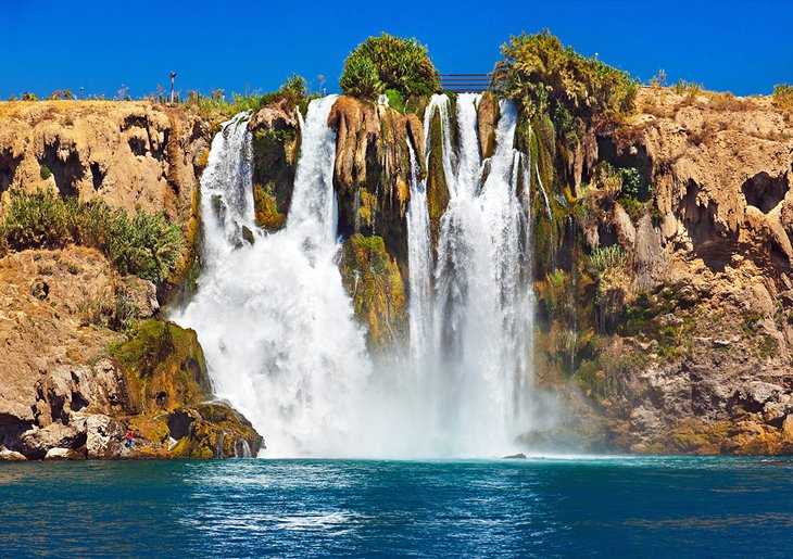سیده