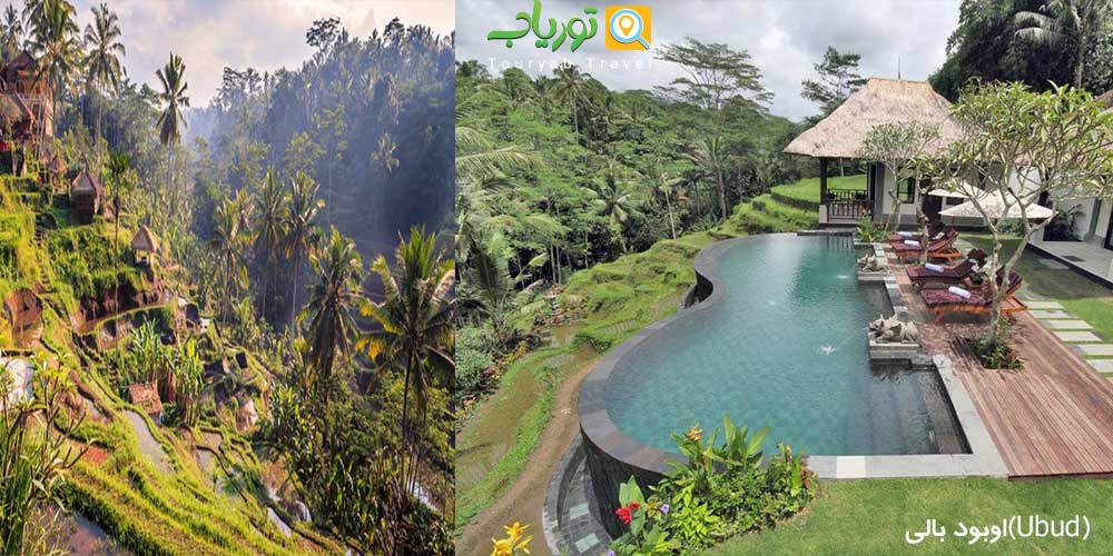 در سفر به مالدیو چه ارزی همراه داشته باشیم؟
