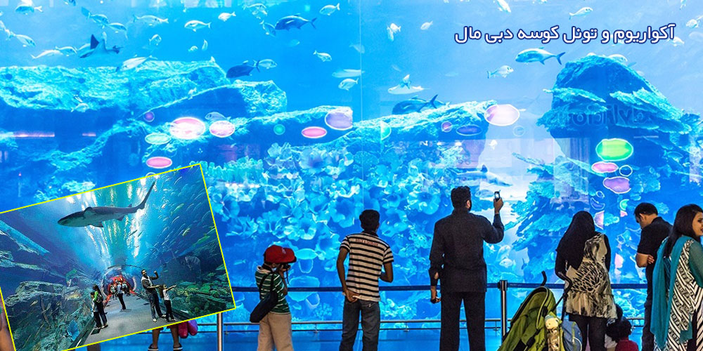 راهنمای سفر به دبی - آکواریوم دبی