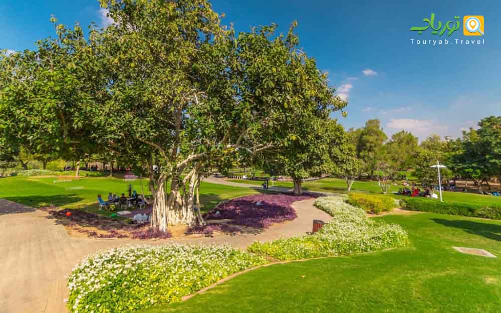 پارک کریک دبی (Creek Park)