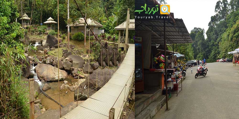 آبشار دوریان پرانگین لنکاوی(درخت میوه)